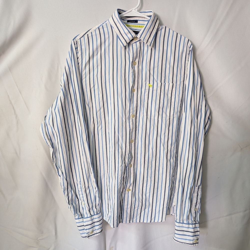 Abercrombie & Fitch Blue and White Striped Button Down Shirt